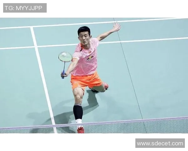 北京滑板队战术分析与转换打法的深度解读与探讨