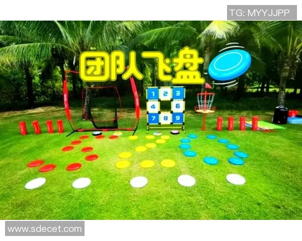 重庆飞盘队团队协作表现的数据分析与提升策略探讨